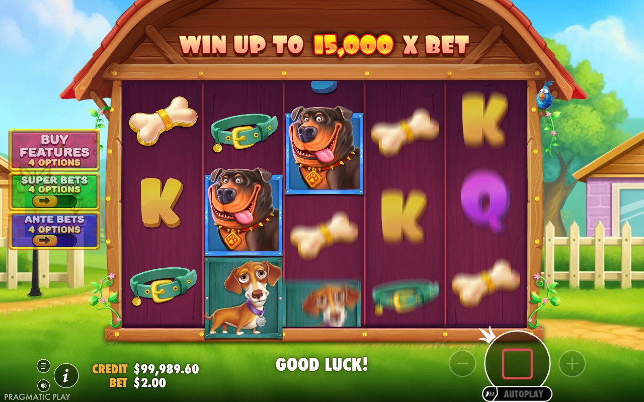 The Big Dog House skärmbild — win