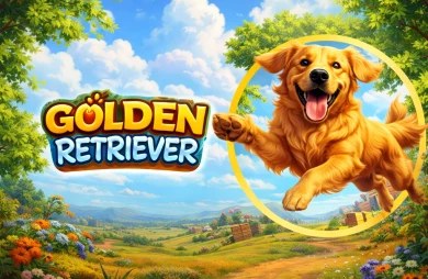 Golden Retriever — omslag